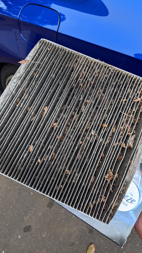 Used Car Dealer «Auto Lenders of Lakewood», reviews and photos, 1165 NJ-88, Lakewood, NJ 08701, USA