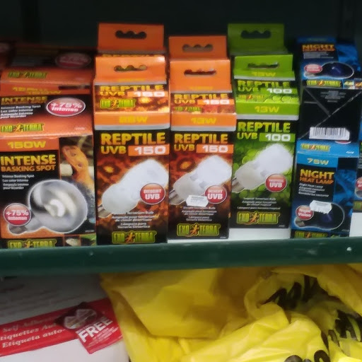 Pet Supply Store «Petland Discounts - Concourse Plaza», reviews and photos, 220 E 161st St, Bronx, NY 10451, USA