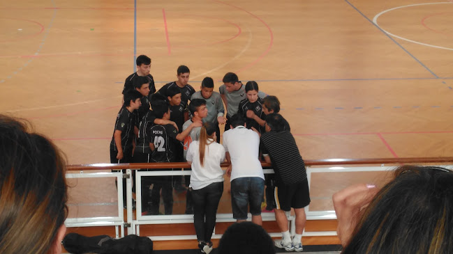 Escola Secundária Damião de Goes