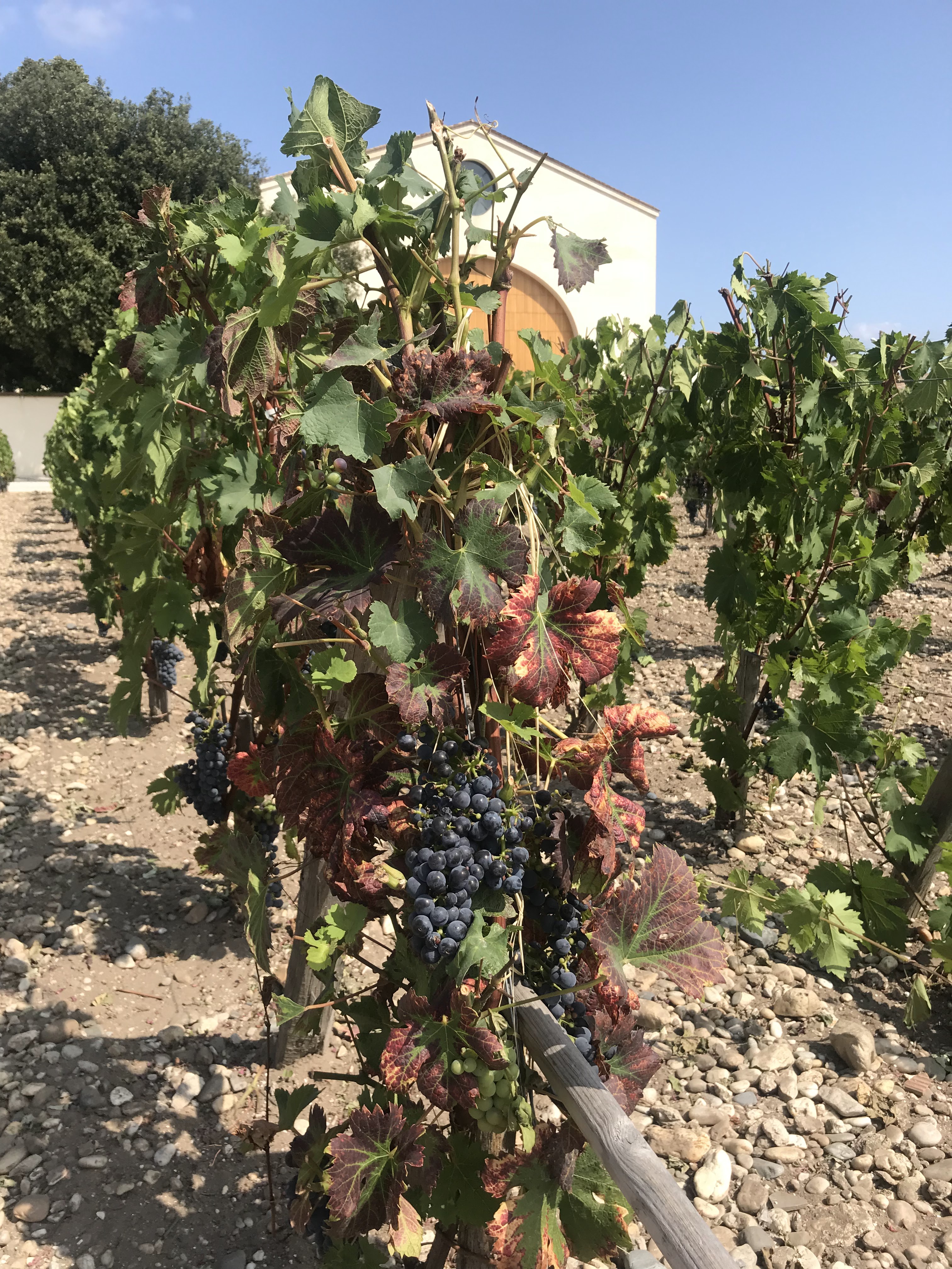Photo n° 2 de l'avis de Jenny.i fait le 29/08/2019 à 18:25