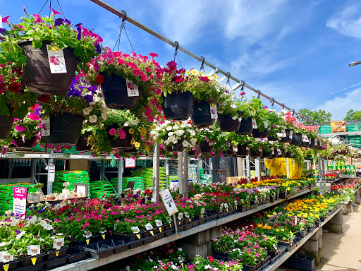 Home Improvement Store «The Home Depot», reviews and photos, 37 Ellisville Towne Centre Dr, Ellisville, MO 63011, USA