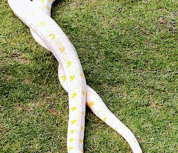 George Wildlife Park photo