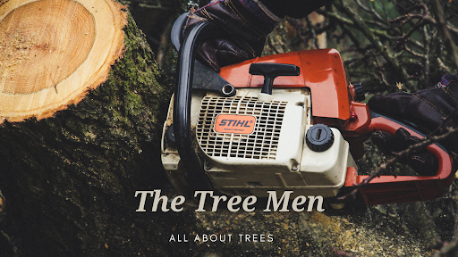 Forestry Tree Men LLC