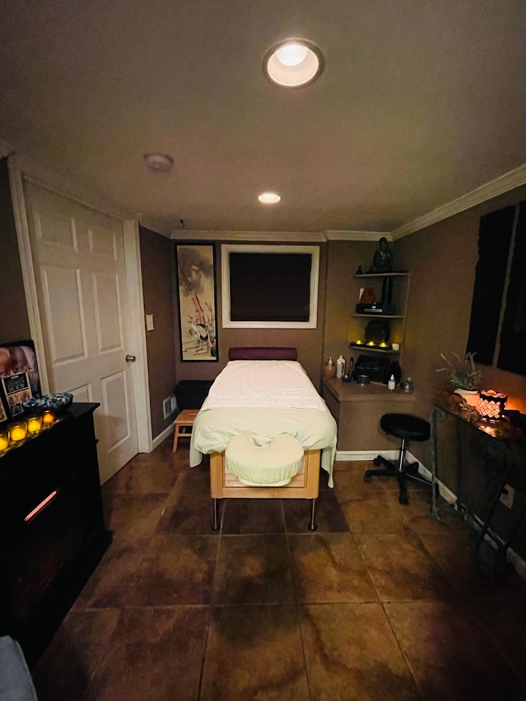 Privilege Touch Massage 19078