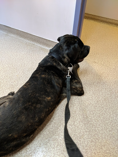 Shopping Mall «Shop City Shopping Center», reviews and photos, 105 Shop City Plaza, Syracuse, NY 13206, USA