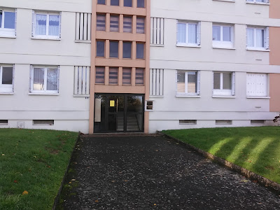 Docteur Ileana Olar à Saint-Sébastien-sur-Loire