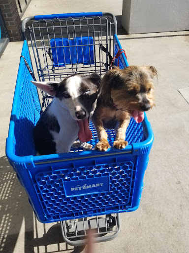 Pet Supply Store «PetSmart», reviews and photos, 6251 N Davis Hwy, Pensacola, FL 32504, USA