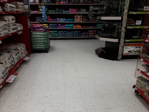 Pet Supply Store «Petco Animal Supplies», reviews and photos, 1919 El Camino Real, Mountain View, CA 94040, USA