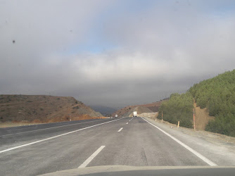 Akbulut Kayak Tesisleri