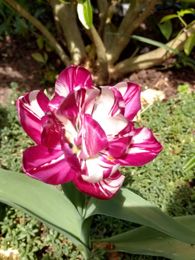 Park «Fremont Peak Park», reviews and photos, 4357 Palatine Ave N, Seattle, WA 98103, USA