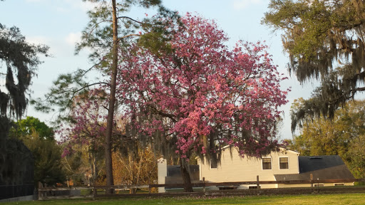 Golf Club «Casselberry Golf Club», reviews and photos, 300 S Triplet Lake Dr, Casselberry, FL 32707, USA