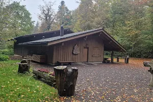 Waldhütte «Waldvilla Cheserholz» image