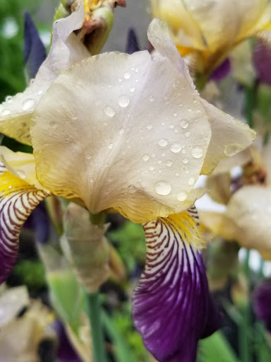 Tourist Attraction «Vermont Marble Museum and Gift Shop», reviews and photos, 52 Main St, Proctor, VT 05765, USA