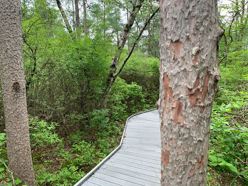 Nature Preserve «Tom S Cooperrider-Kent Bog State Nature Preserve», reviews and photos, 1028 Meloy Rd, Kent, OH 44240, USA
