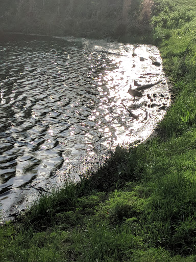 Park «Hoblitzelle Park», reviews and photos, 7500 Red River Dr, Plano, TX 75025, USA