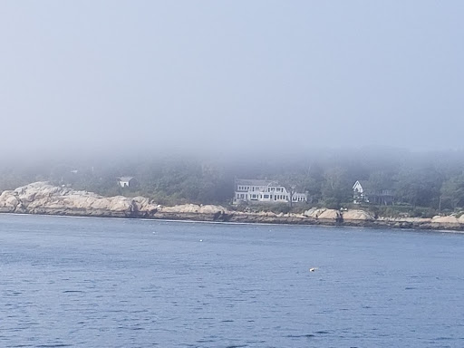 Cruise Agency «Capt. Bill & Sons Whale Watch», reviews and photos, 24 Harbor Loop, Gloucester, MA 01930, USA