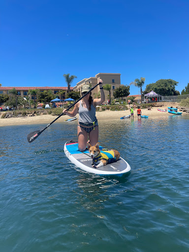 Surf Shop «West Coast Paddle Sports», reviews and photos, 4360 Morena Blvd #130, San Diego, CA 92117, USA