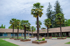 Universidad Católica del Maule