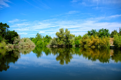 Shinn Pond