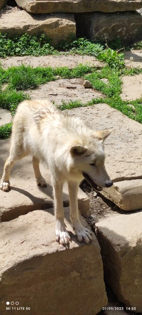 Photo n° 1 de l'avis de Sebastien.o fait le 02/05/2023 à 21:59