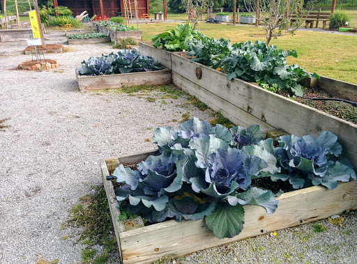 Museum «Burden Museum & Gardens», reviews and photos, 4560 Essen Ln, Baton Rouge, LA 70809, USA