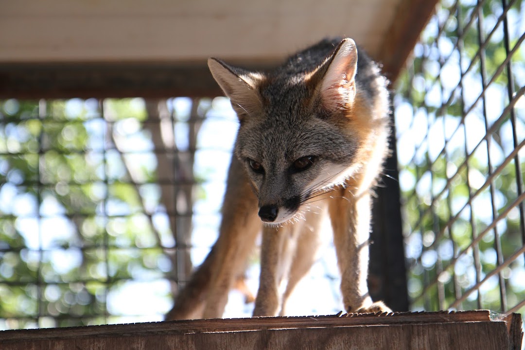 San Angelo Nature Center