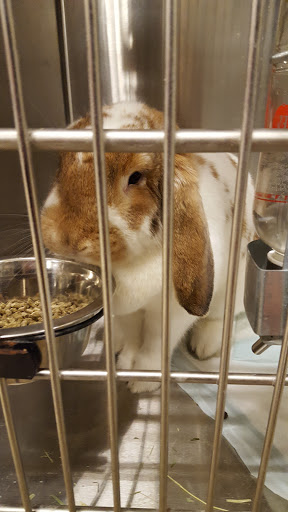 Pet Supply Store «PetSmart», reviews and photos, 9277 159th St, Orland Hills, IL 60487, USA