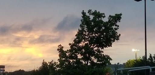 Grocery Store «Stop & Shop», reviews and photos, 540 Squire Rd, Revere, MA 02151, USA