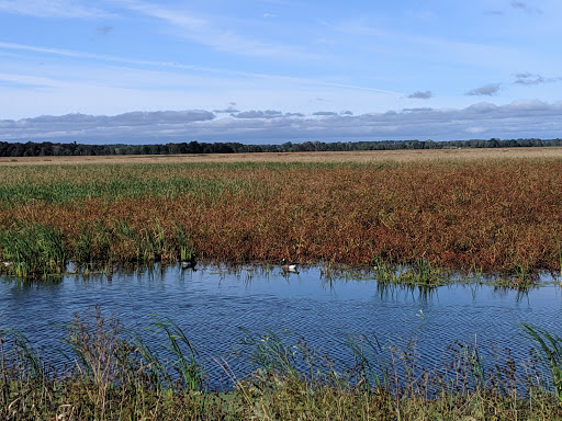 National Reserve «Montezuma National Wildlife Refuge», reviews and photos, 3395 US-20, Seneca Falls, NY 13148, USA