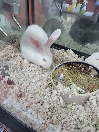 Pet Store «Pet Paradise», reviews and photos, 307 Kellam Rd, Virginia Beach, VA 23462, USA