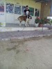 user