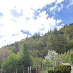 Photo n°2 de l'avis de Sara.e fait le 01/05/2022 à 18:33 sur le  Restaurant Waalrast à Lana