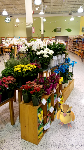 Supermarket «Publix Super Market at Five Forks Corner Shopping Center», reviews and photos, 4045 Five Forks Trickum Rd SW, Lilburn, GA 30047, USA