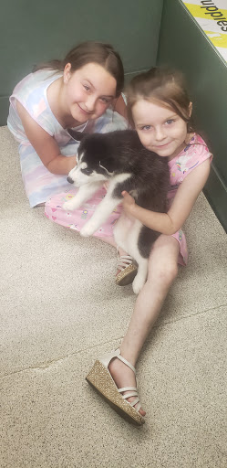 Pet Store «Petland Montgomery», reviews and photos, 7127 Eastchase Pkwy, Montgomery, AL 36117, USA