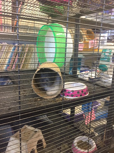 Pet Supply Store «College Greens Pet Center», reviews and photos, 3311 Julliard Dr # A, Sacramento, CA 95826, USA