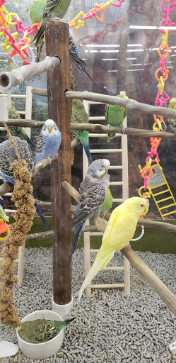 Pet Supply Store «Petco Animal Supplies», reviews and photos, 1622 Clark Street Rd, Auburn, NY 13021, USA