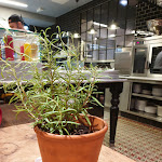 Photo n°4 de l'avis de Luke. fait le 12/10/2020 à 16:10 sur le  L'Osteria Dortmund à Dortmund