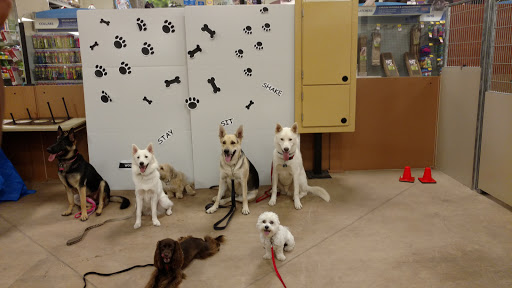 Pet Supply Store «PetSmart», reviews and photos, 2828 Campus Pkwy, Riverside, CA 92507, USA