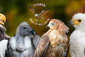 Thirsk Birds Of Prey Centre image