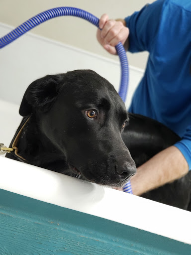 Pet Supply Store «Bark Avenue», reviews and photos, 4781 Granite Dr, Rocklin, CA 95677, USA