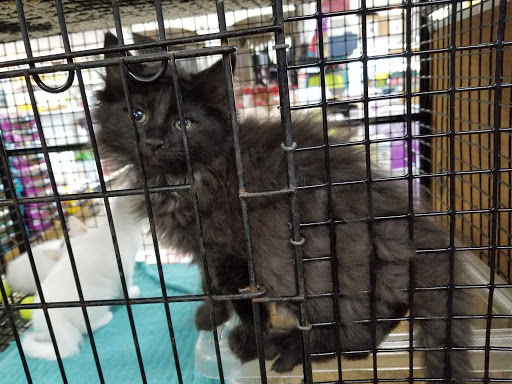Pet Store «Whiskers Wings And Wild Things», reviews and photos, 1200 30th St NW, Canton, OH 44709, USA