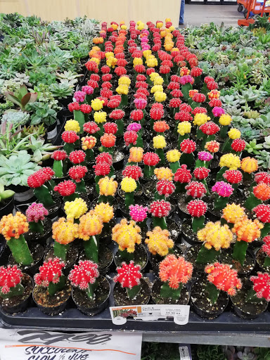 Home Improvement Store «The Home Depot», reviews and photos, 3500 W MacArthur Blvd, Santa Ana, CA 92704, USA