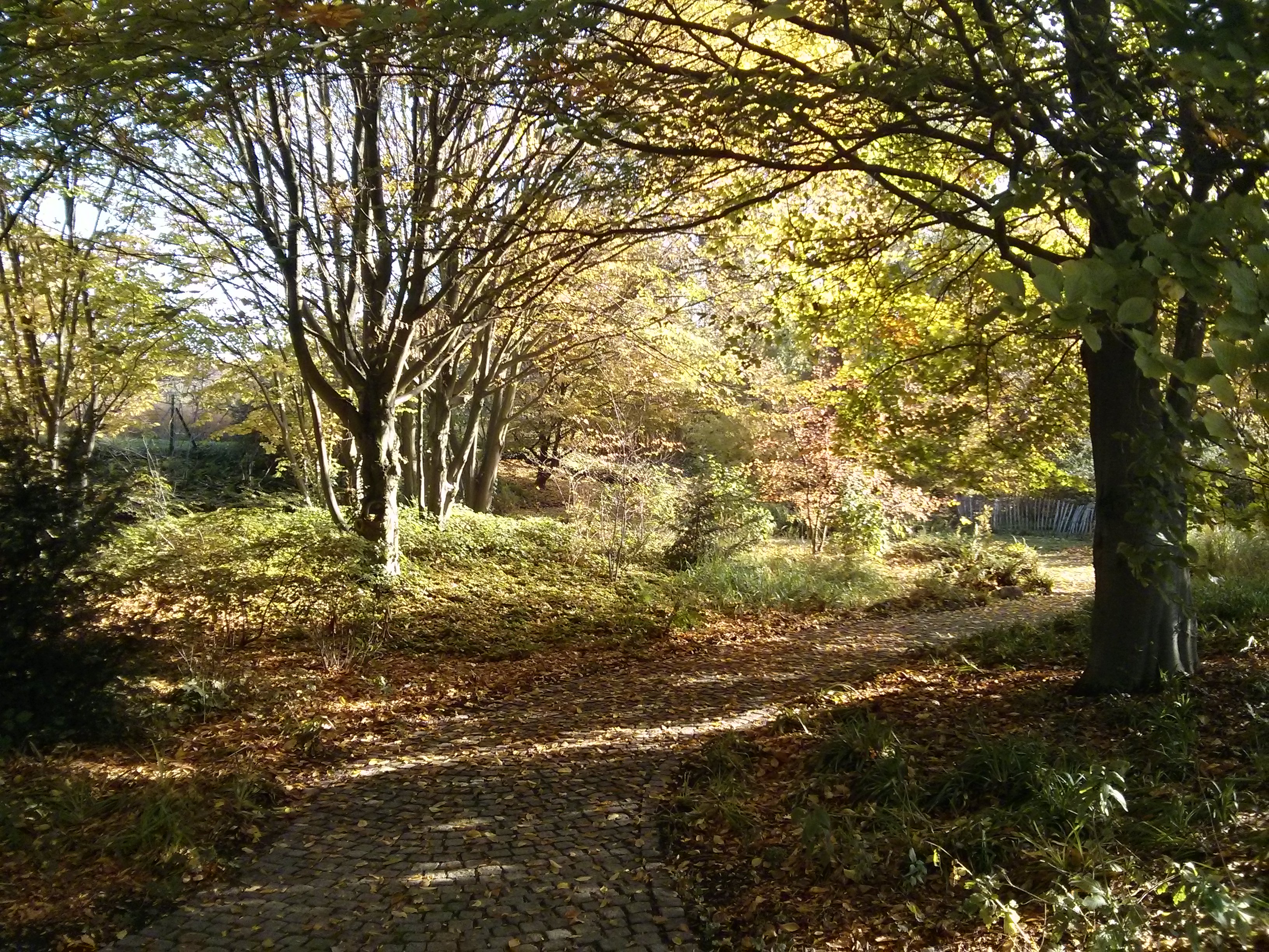 Photo n° 9 de l'avis de G..o fait le 15/08/2017 à 17:20