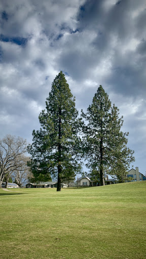 Association or Organization «Pine Mountain Lake Golf Course», reviews and photos, 12765 Mueller Dr, Groveland, CA 95321, USA