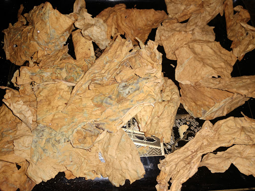 Tobacco Shop «Leaf Only», reviews and photos, 440 Middlefield St, Middletown, CT 06457, USA