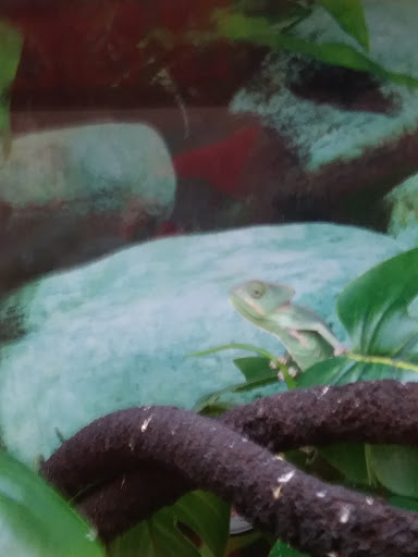 Pet Supply Store «Petco Animal Supplies», reviews and photos, 4175 Dowlen Rd, Beaumont, TX 77706, USA