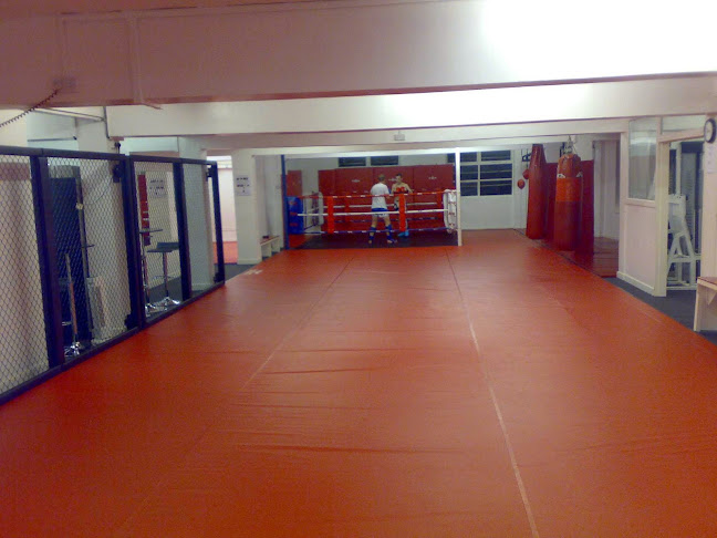 K-Star Thai Boxing Academy - Gym