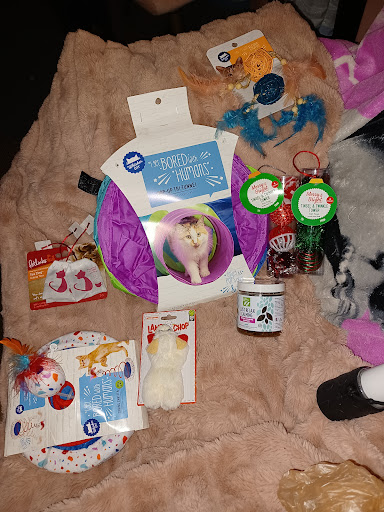 Pet Supply Store «PetSmart», reviews and photos, 3211 Peoples St, Johnson City, TN 37604, USA