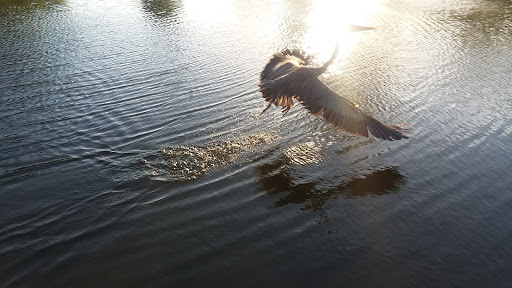 Park «Hoblitzelle Park», reviews and photos, 7500 Red River Dr, Plano, TX 75025, USA