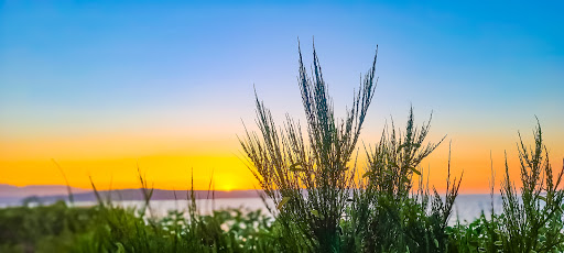 Canoe & Kayak Store «Olympic Outdoor Center», reviews and photos, 32379 N Rainier Ave, Port Gamble, WA 98364, USA